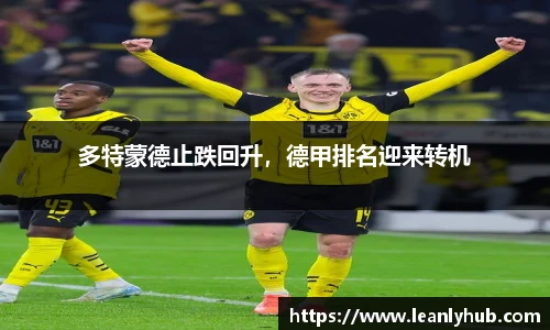 智博19有限公司
